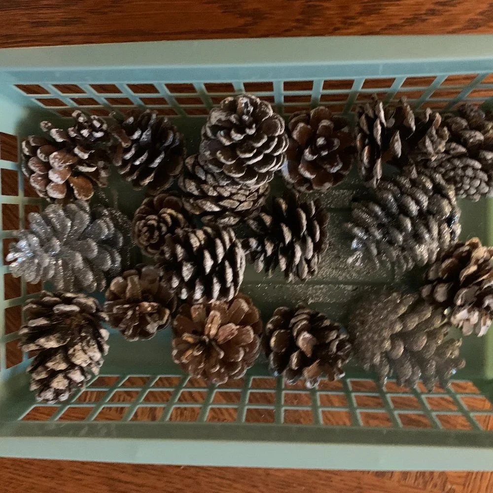 18 Small pinecones